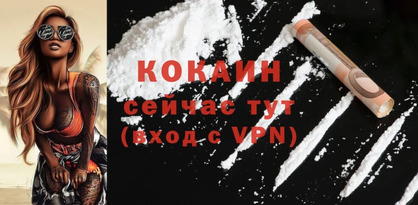 твердый Кинешма