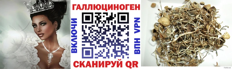 Псилоцибиновые грибы мицелий  Купить  Барабинск 
